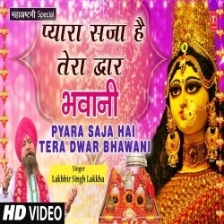 Pyara Saja Hai Tera Dwar Bhawani Dj Remix Poster